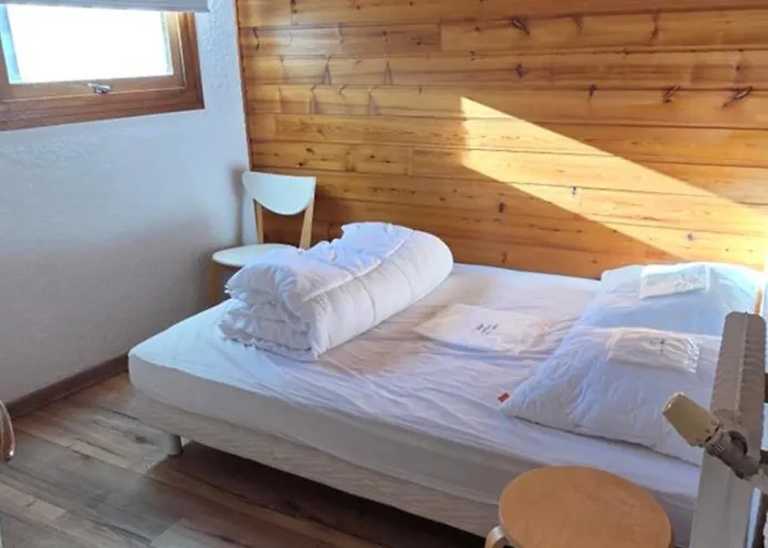 Location Les Deux Alpes, Pieds Des Pistes. 6 Pers Les Deux Alpes