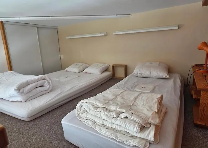 Location Les Deux Alpes, Pieds Des Pistes. 6 Pers Les Deux Alpes